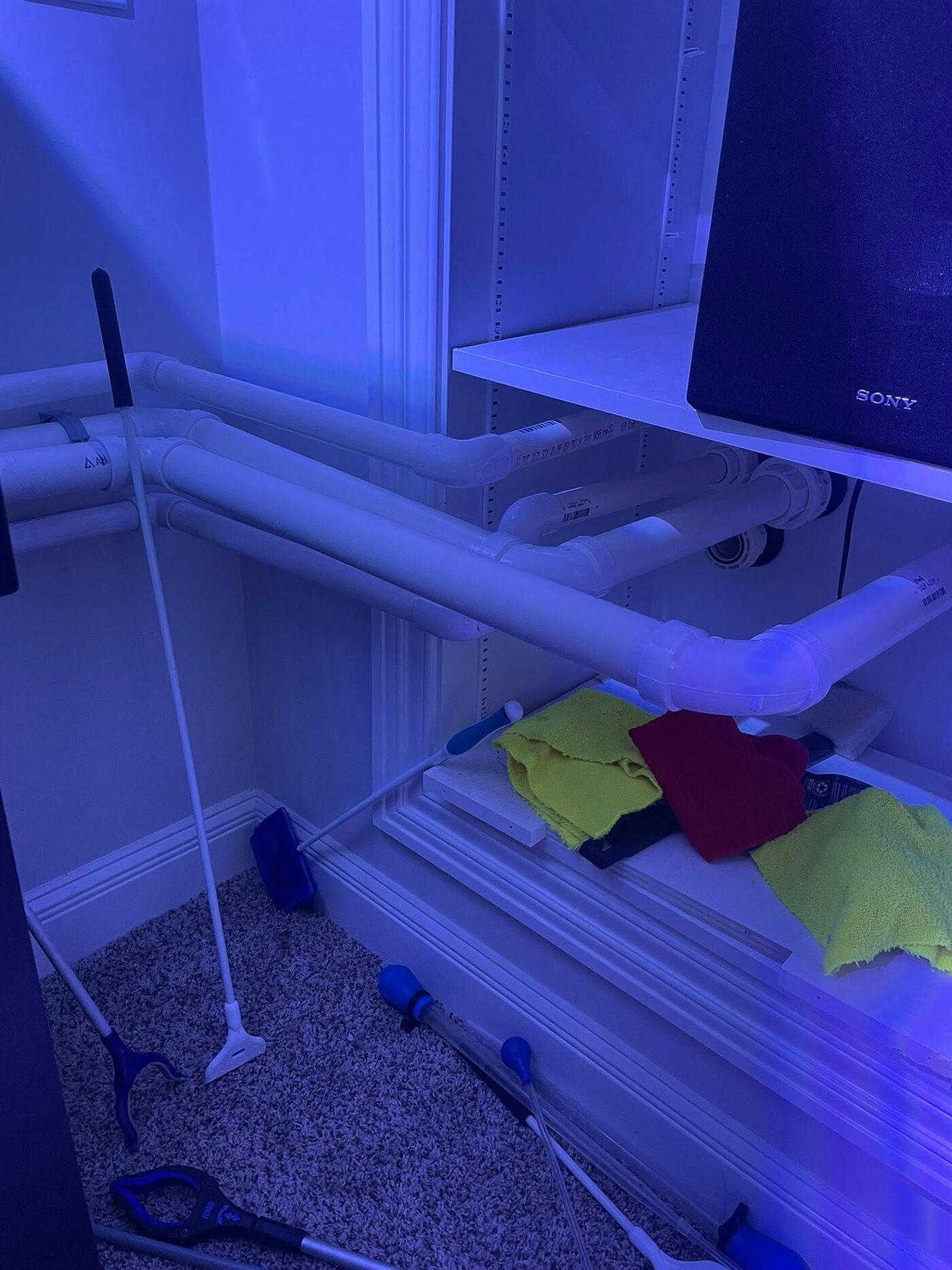 Plumbing and return lines running to an aquarium sump